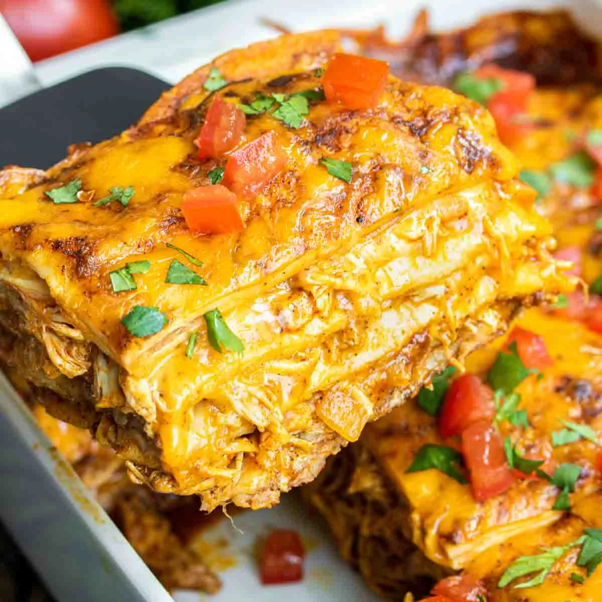 Chicken-Enchilada-Casserole-Recipe_3